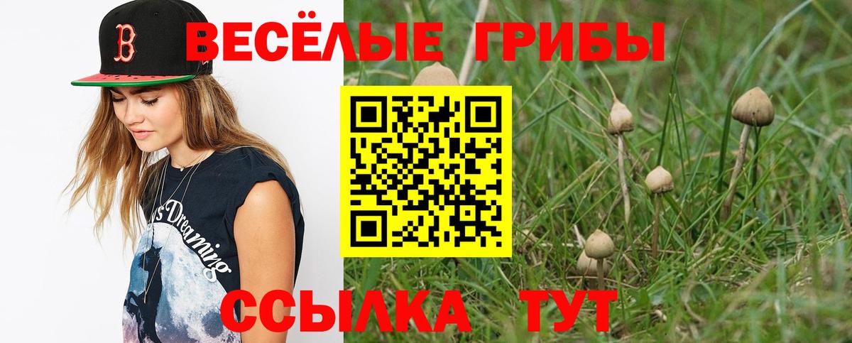 Саратов  дарнет шоп  Вход с VPN  Псилоцибиновые грибы Psilocybine cubensis 