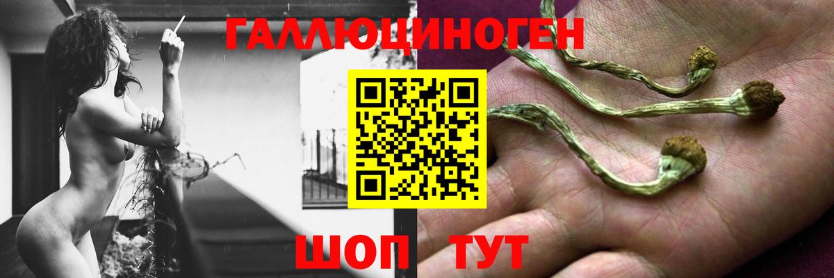 Псилоцибиновые грибы GOLDEN TEACHER Саратов